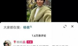 杨爸爆料的视频说的啥啊,内容概览与亮点抢先看