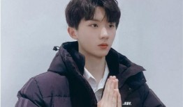 马嘉祺媒体爆料视频,幕后真相与精彩瞬间