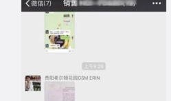 吉林希尔顿爆料视频大全,揭秘酒店幕后真相